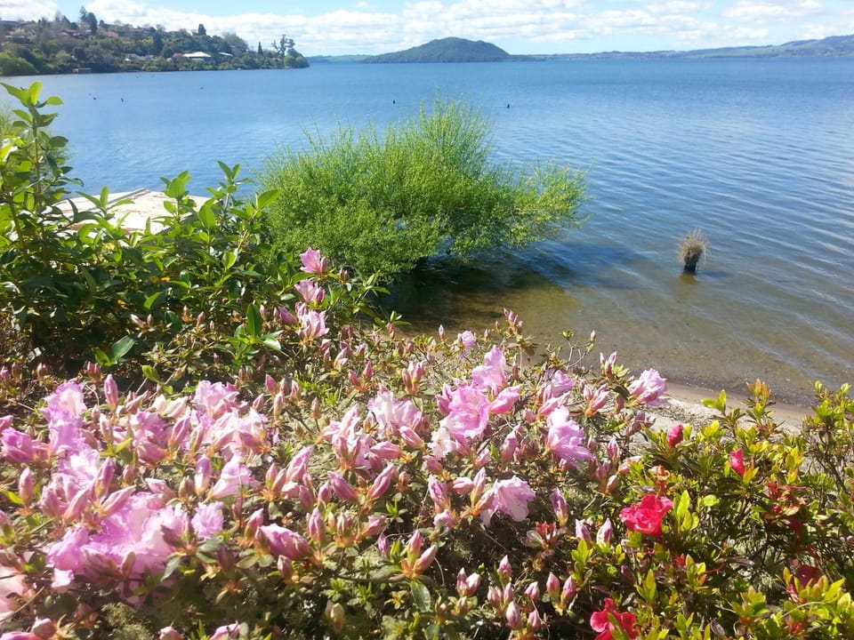 Koutu Beach Bed and Breakfast Bed and Breakfast in Rotorua