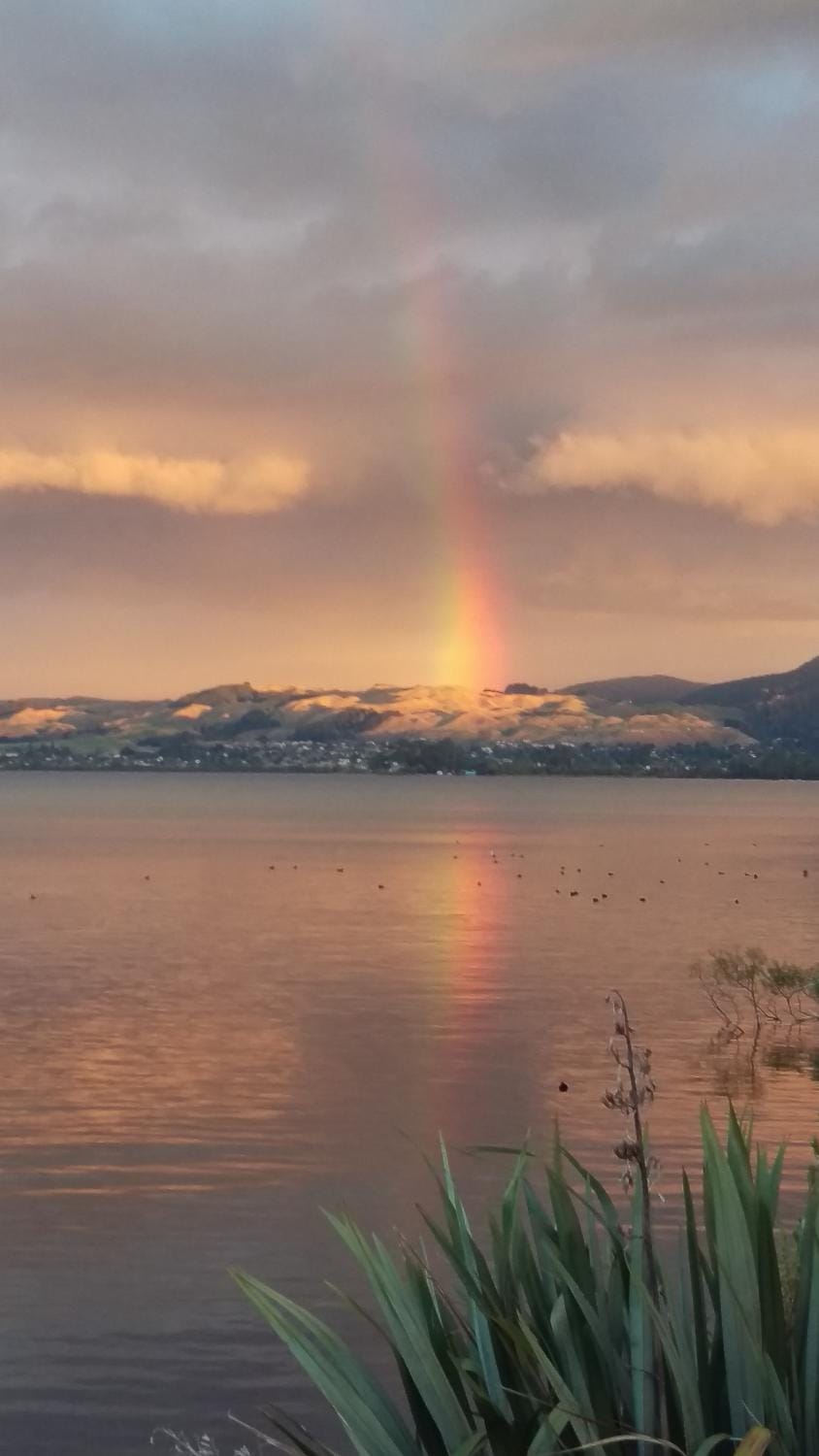 Koutu Beach Bed and Breakfast Bed and Breakfast in Rotorua
