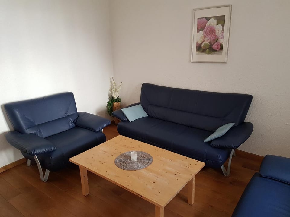 Living room, Photo of the whole room, Seating area