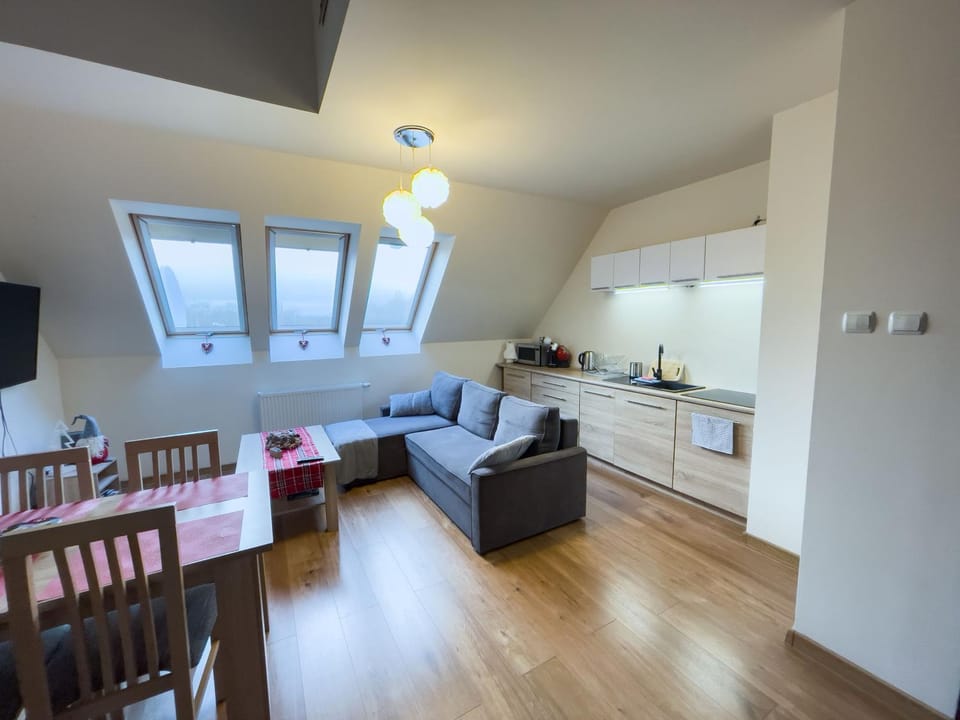 Living room, kitchen