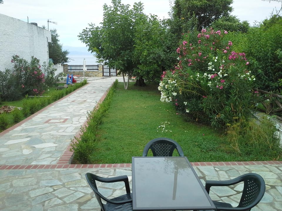 Patio, Garden