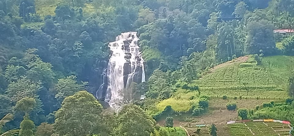 Natural landscape