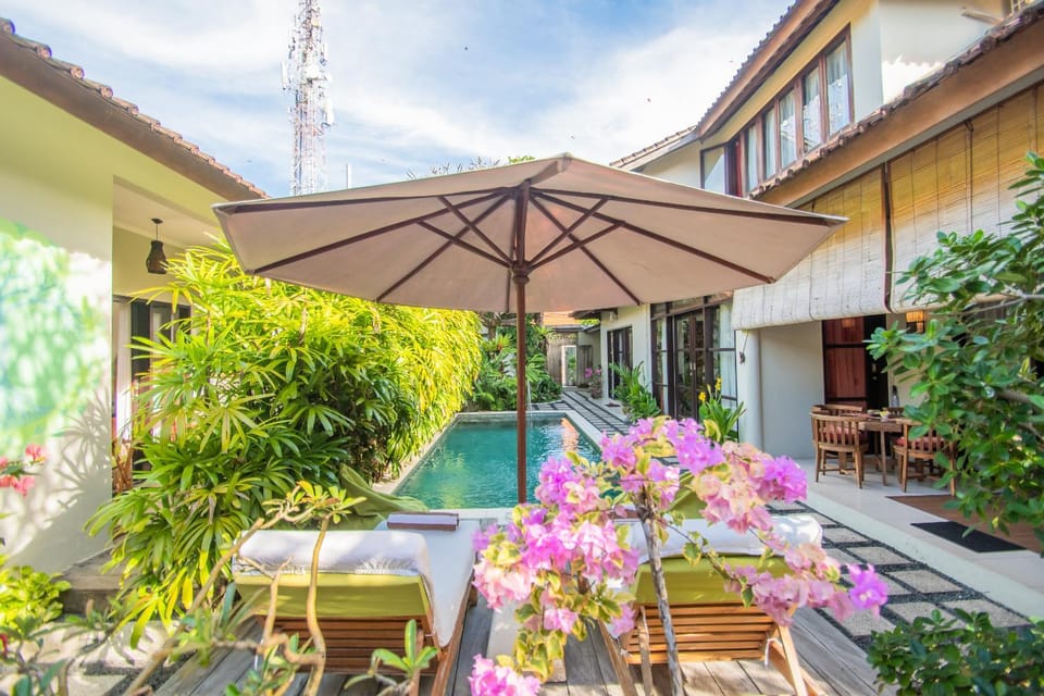 Patio, Garden, Swimming pool, sunbed