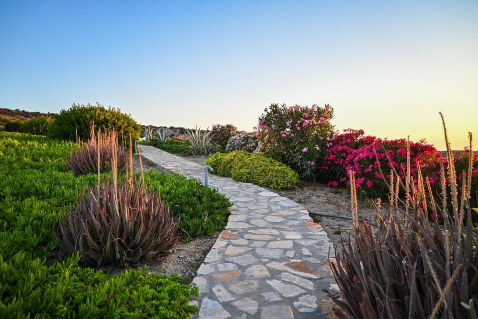 Schinoza Luxury Suites Bed and Breakfast in Decentralized Administration of the Aegean
