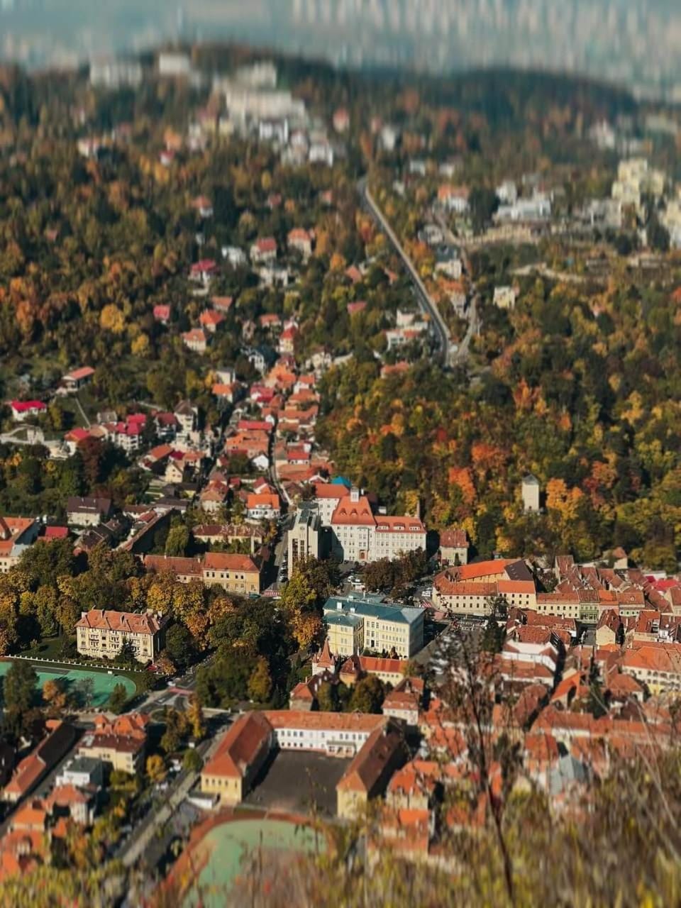 Chic Studio Brasov Apartment in Brasov