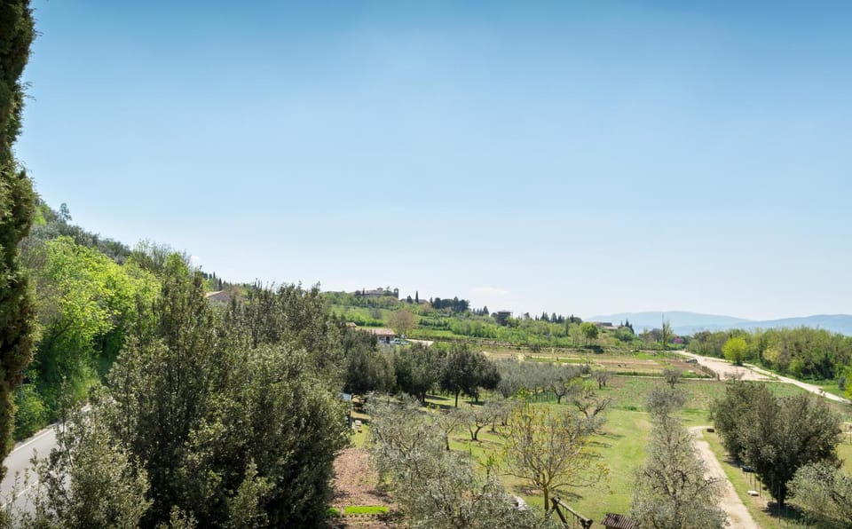 Natural landscape, Garden view