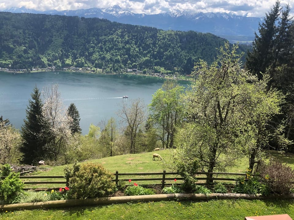 Spring, Natural landscape, View (from property/room), Lake view