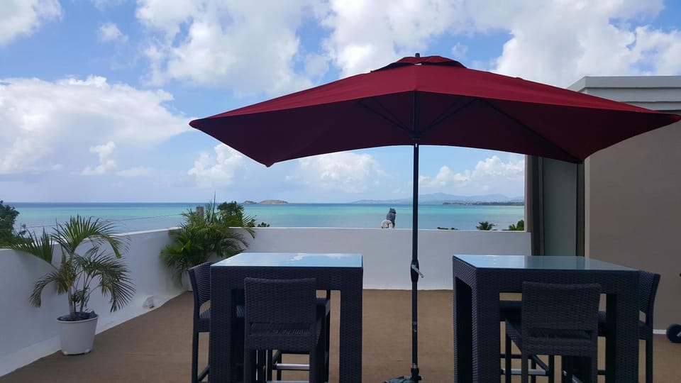 Fully Air-Conditioned Beach Front Penthouse Apartment Apartment in Puerto Rico