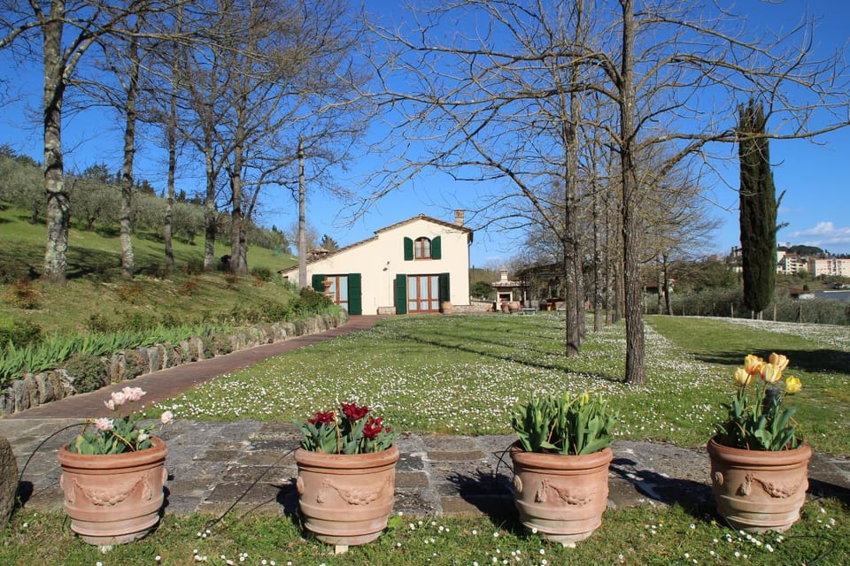 Property building, Garden, City view