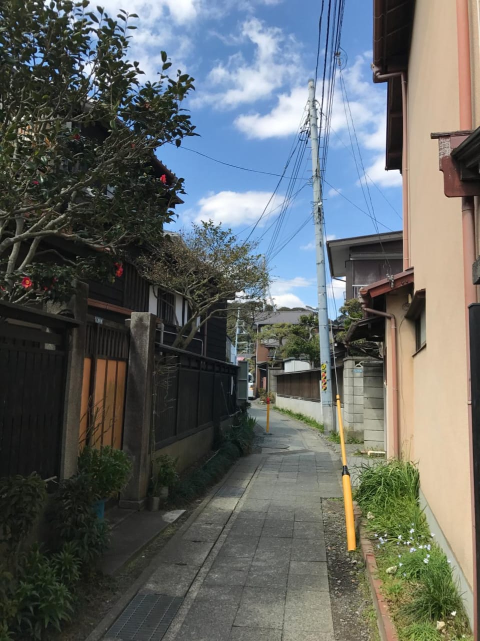 Neighbourhood