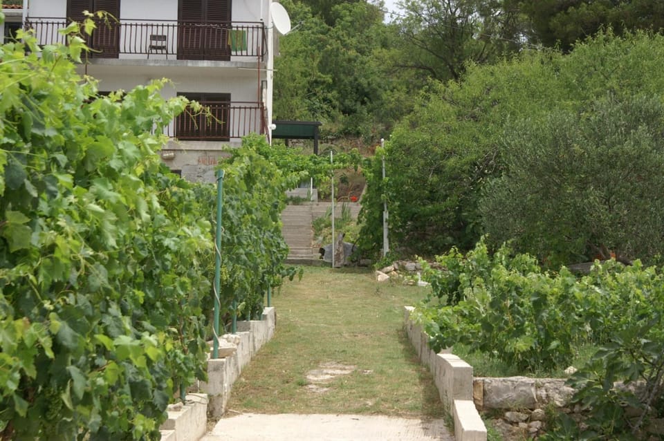 Location, children, Family