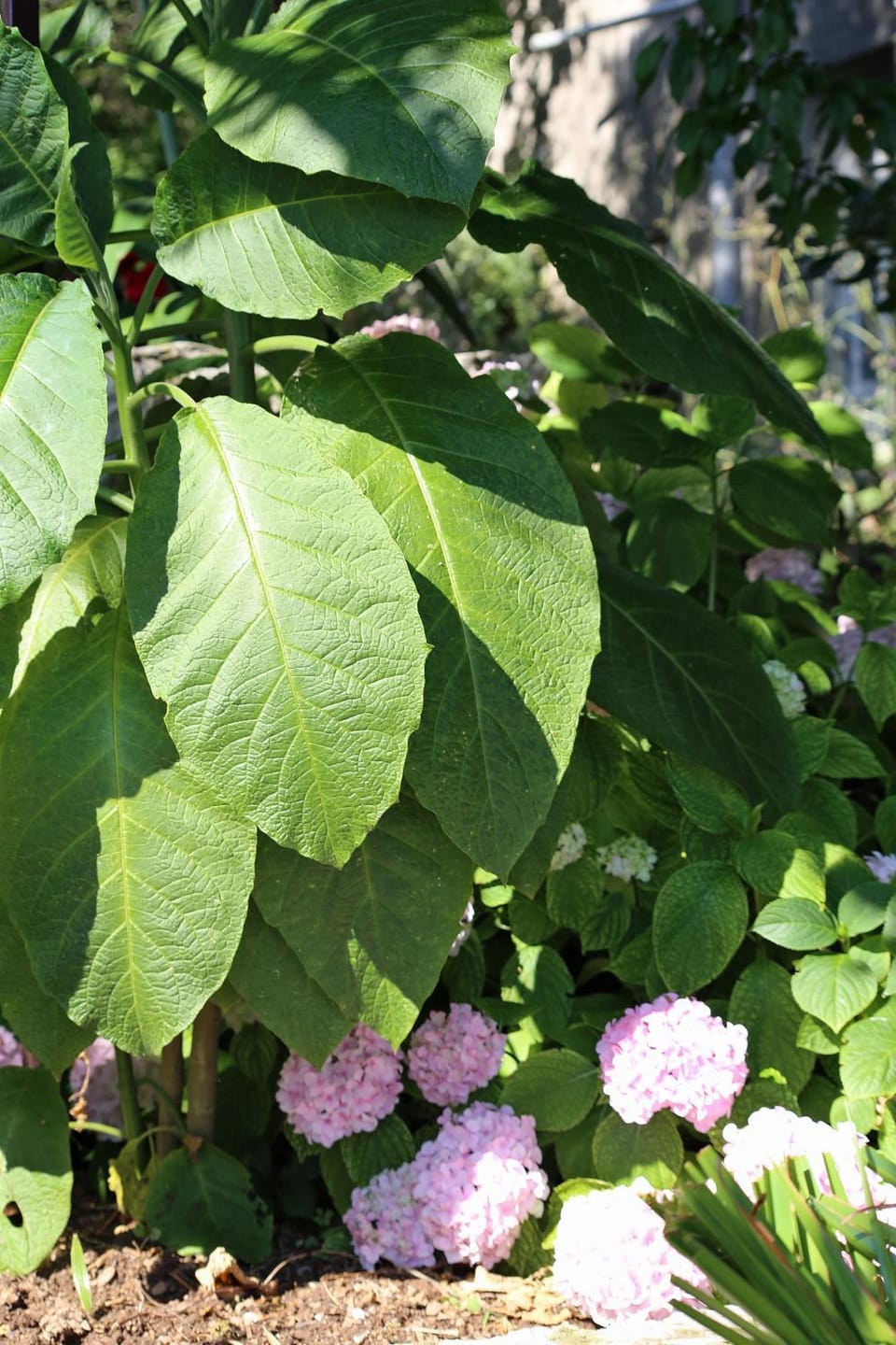 Location, children, Family