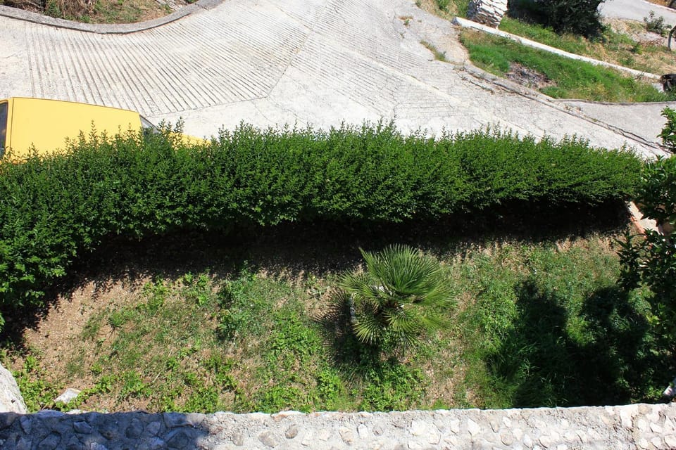 Location, children, Family