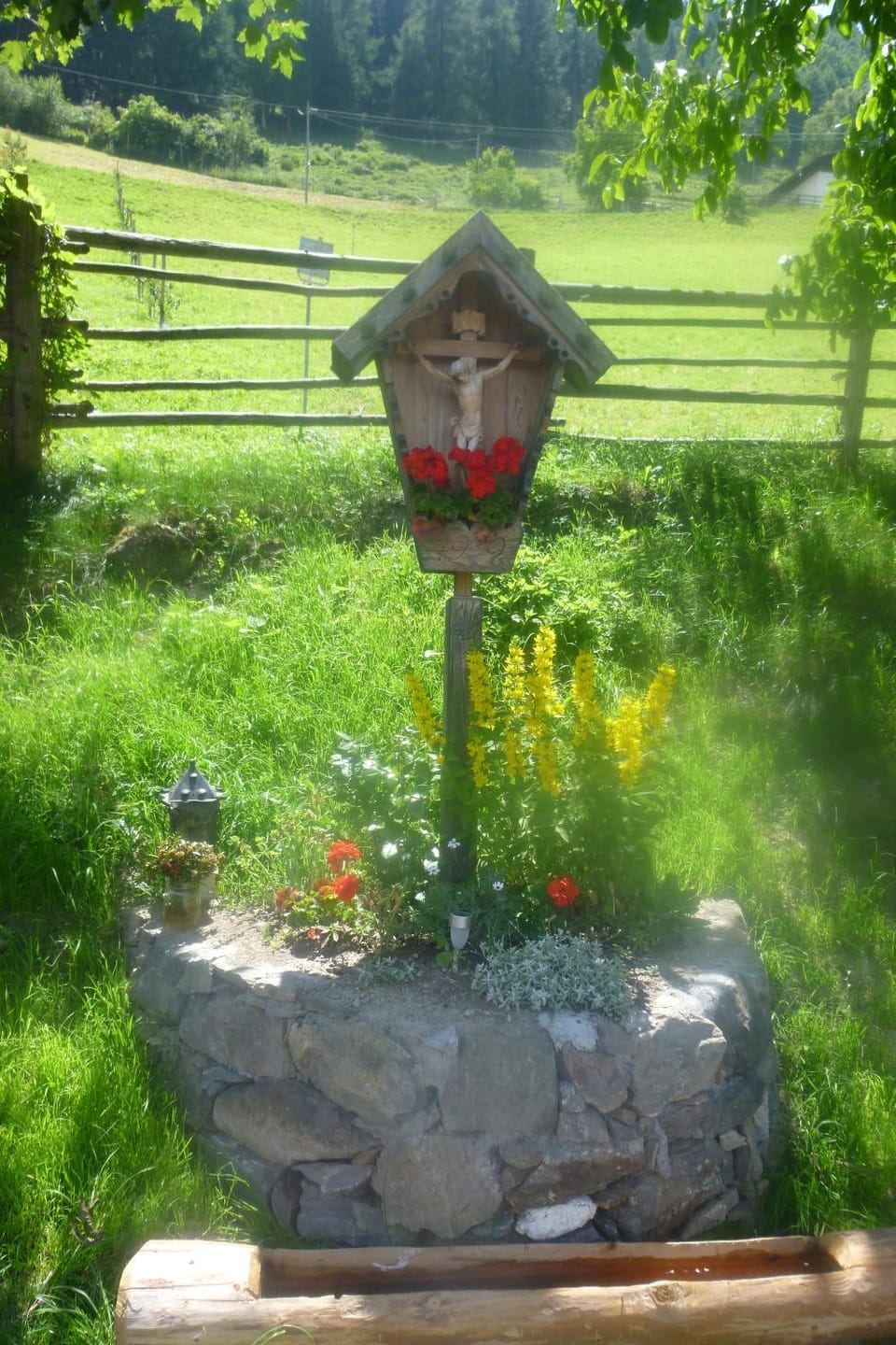 Day, Garden, Garden view