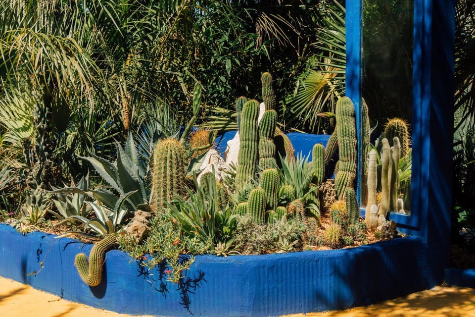 Patio, Facade/entrance, Day, Garden, Decorative detail, Garden view, Parking