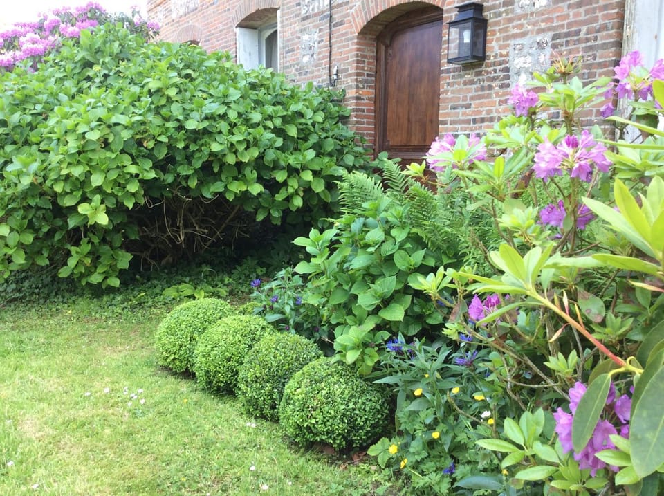 Garden view