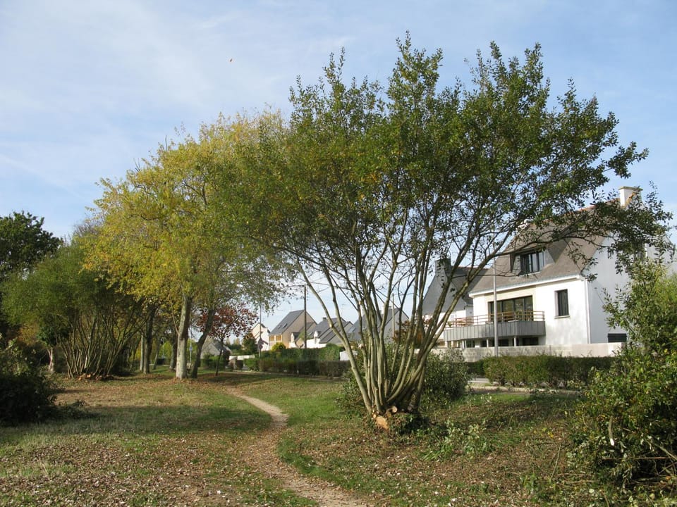 Neighbourhood, Fitness centre/facilities, On site