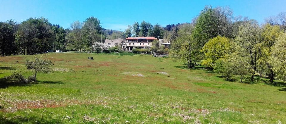 Property building, Garden view