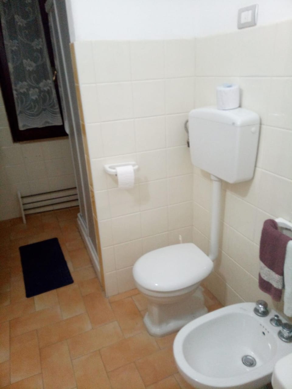 Toilet, Bathroom, bidet