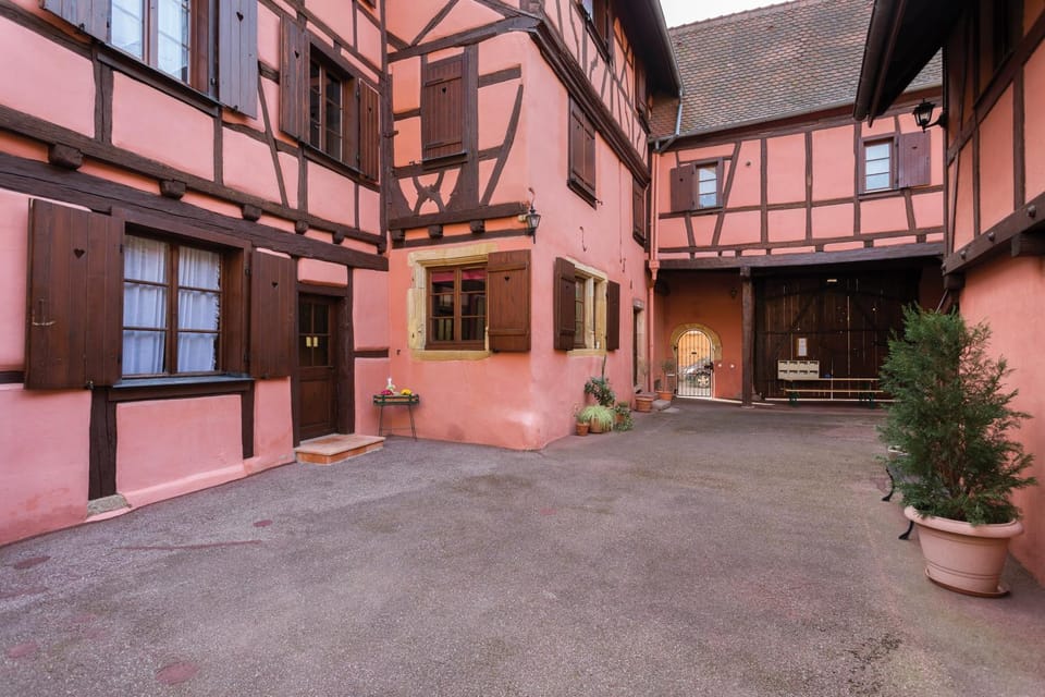 Property building, Patio, Facade/entrance, Garden