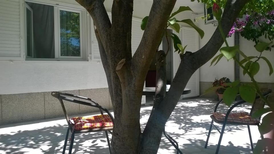 Patio, Balcony/Terrace