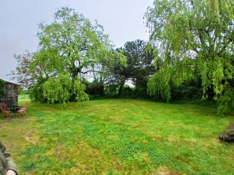 Patio, Garden