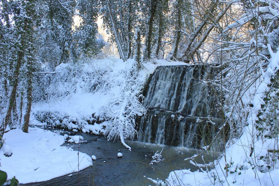 Day, Winter, On site