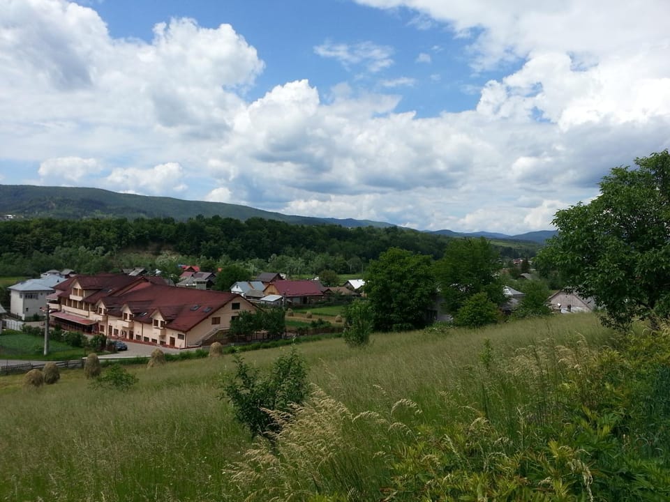 Natural landscape