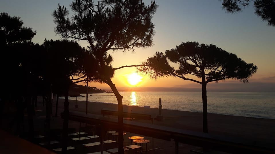 Sea view