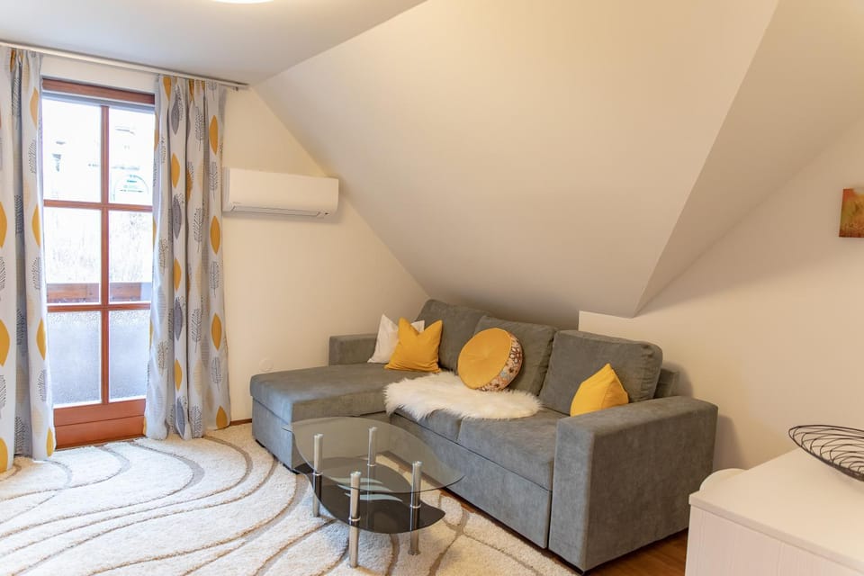 Living room, air conditioner
