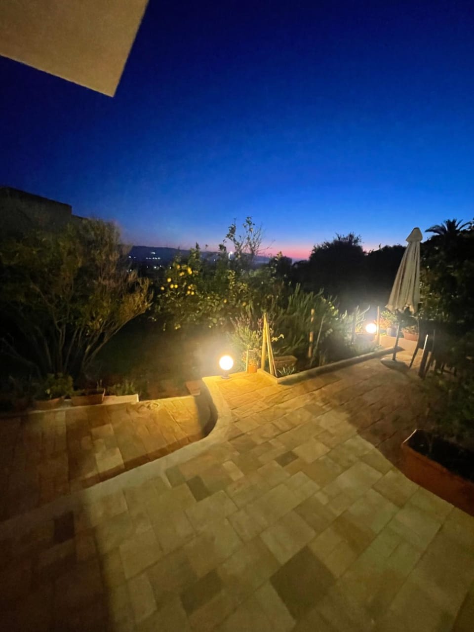 Garden view