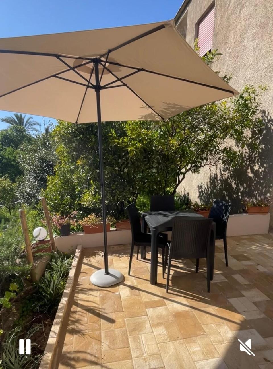 Day, Garden