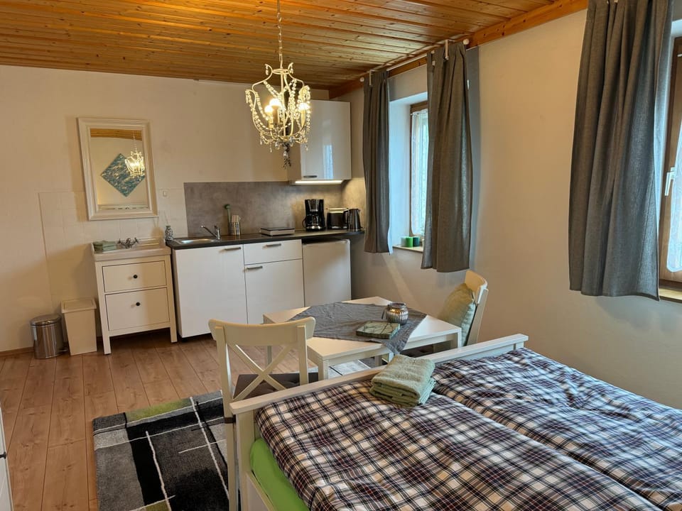 Bed, Kitchen or kitchenette, Photo of the whole room, Bedroom, oven, stove
