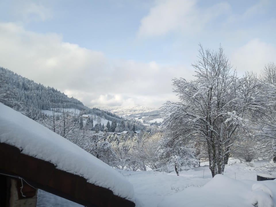 Winter, On site