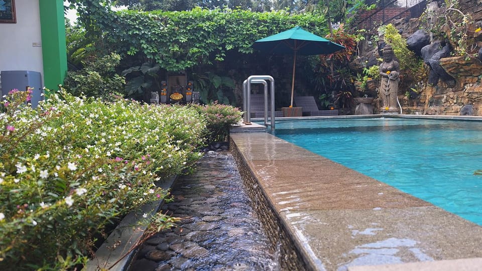 Day, Garden, Garden view, Swimming pool