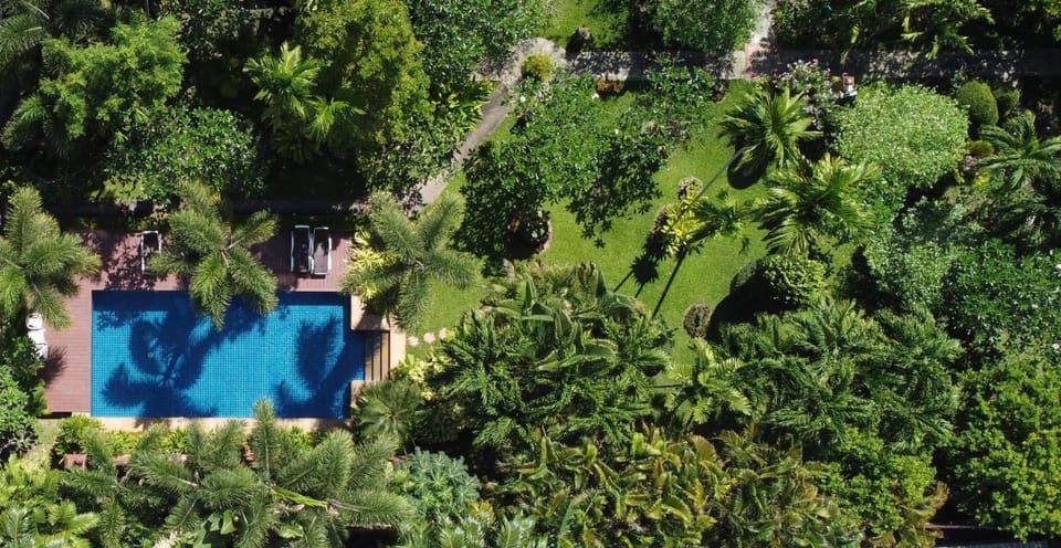 Bird's eye view, Pool view