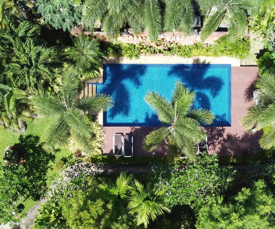 Garden, Swimming pool