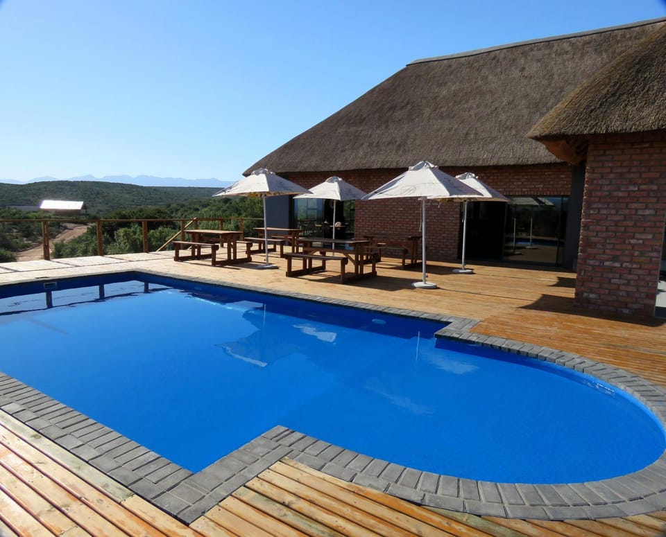 Lobby or reception, Business facilities, Swimming pool