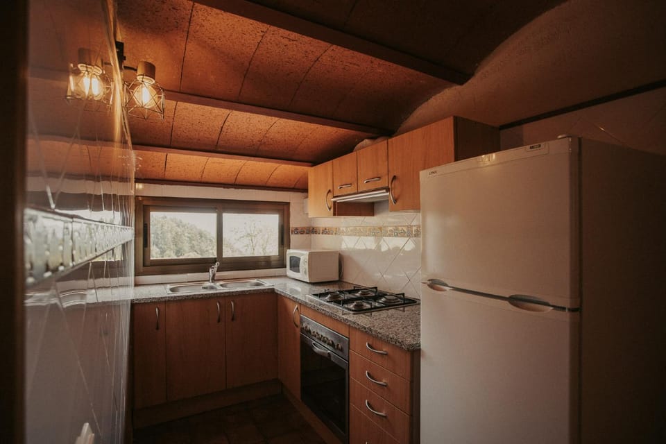 Subirana Rural Apartment in Ripollès