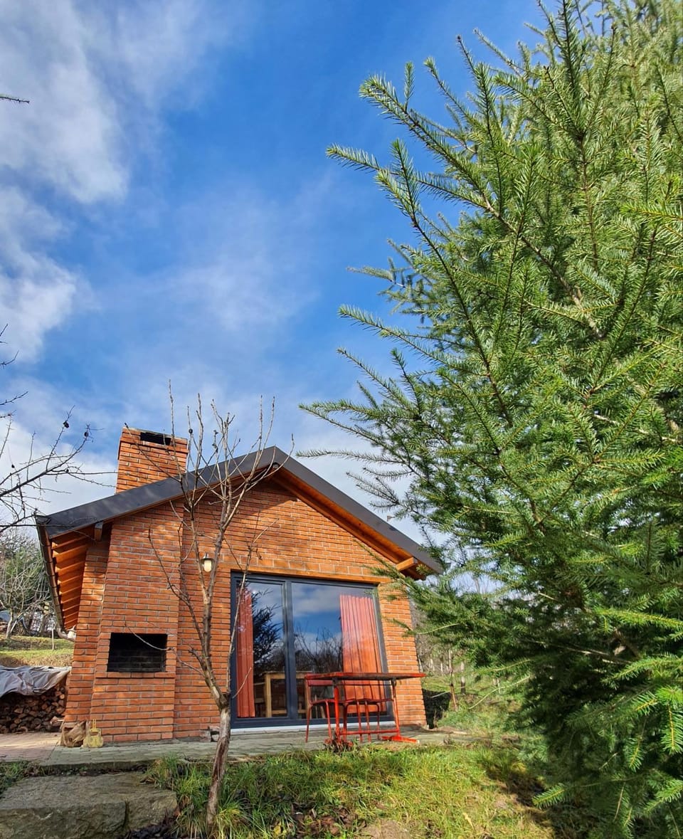 Property building, Garden, Garden view