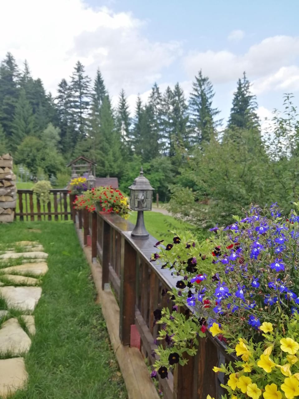 Casa Verde Farm Stay in Romania