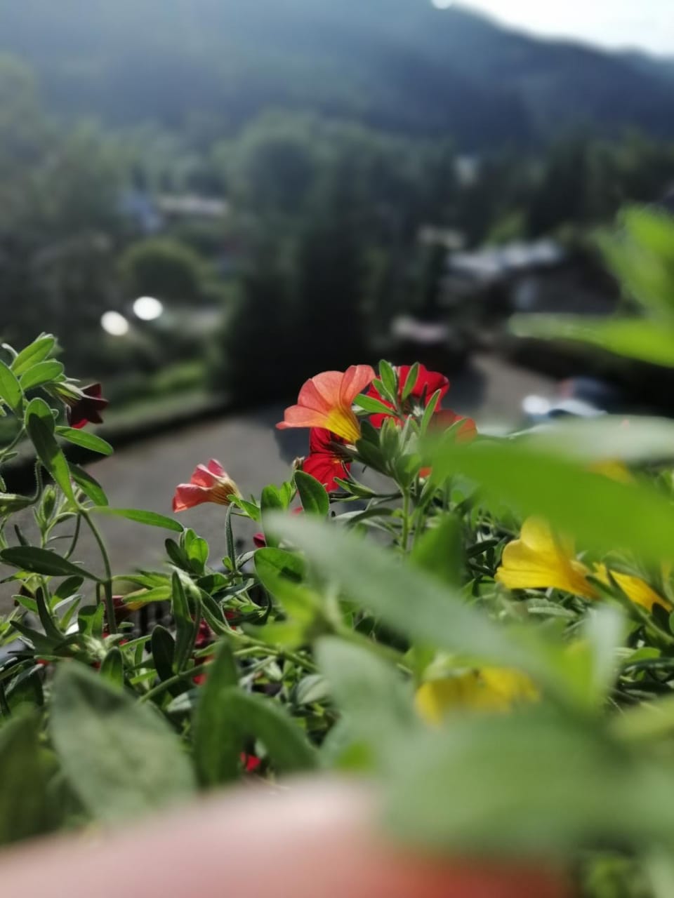 Casa Verde Farm Stay in Romania