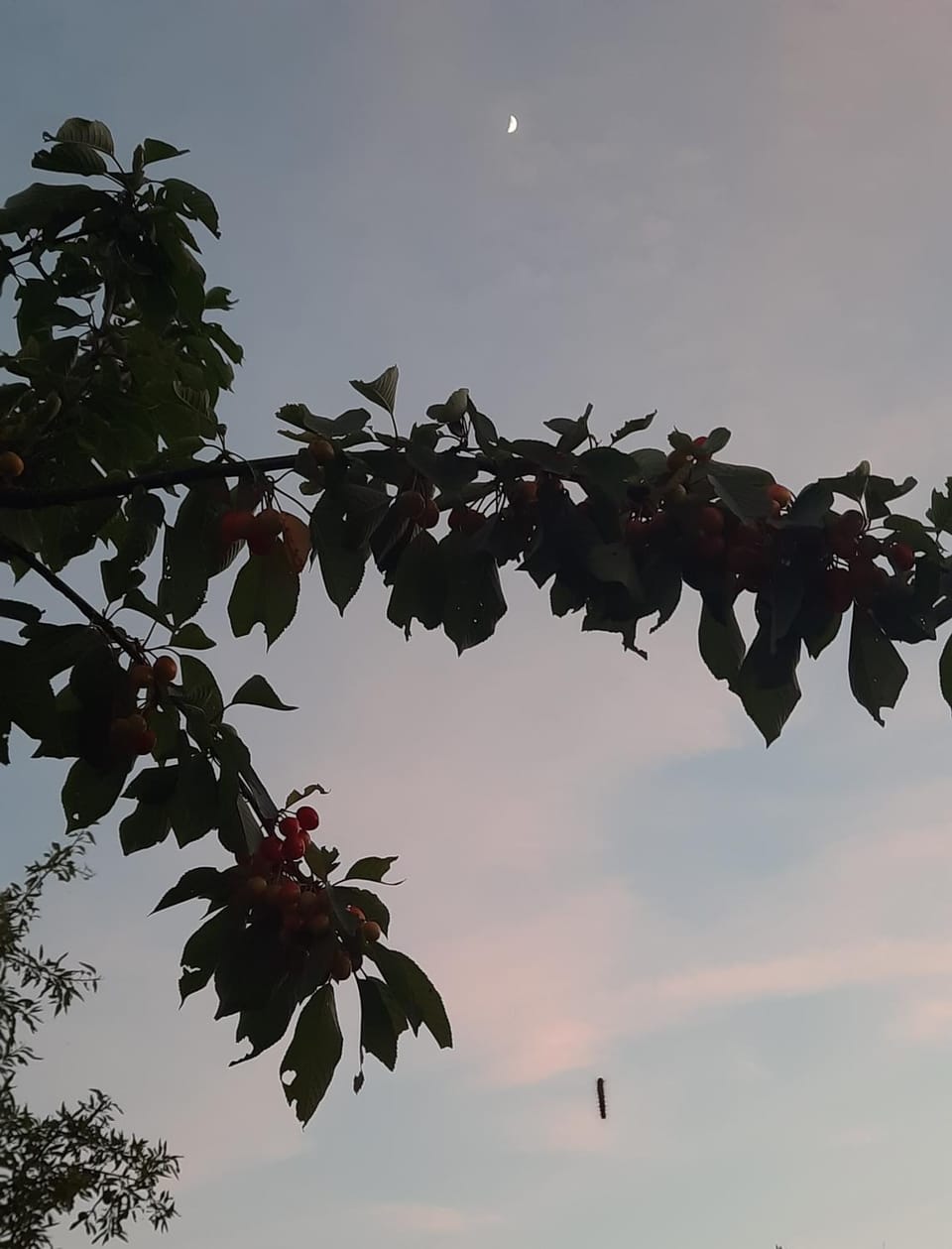 Vila s bazenom Anastazija Villa in Šibenik-Knin County, Croatia