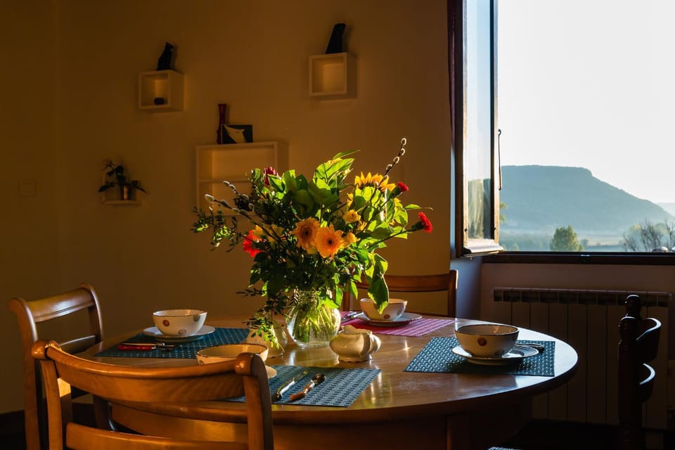 Summer, Kitchen or kitchenette, Dining area, River view