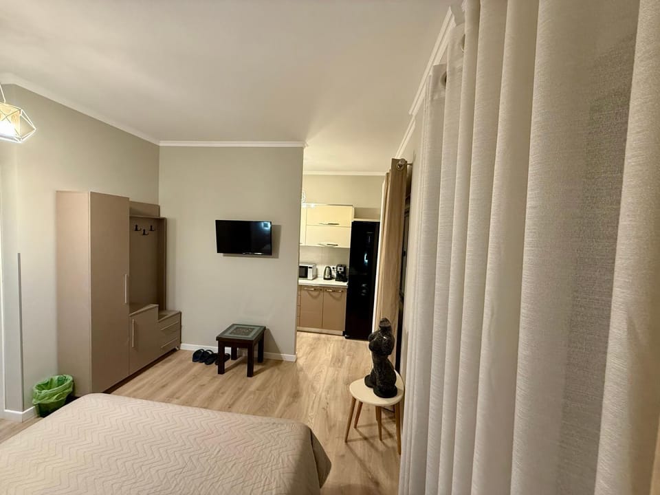 Bed, TV and multimedia, Kitchen or kitchenette, Photo of the whole room, Bedroom, hair dresser, minibar, oven, wardrobe