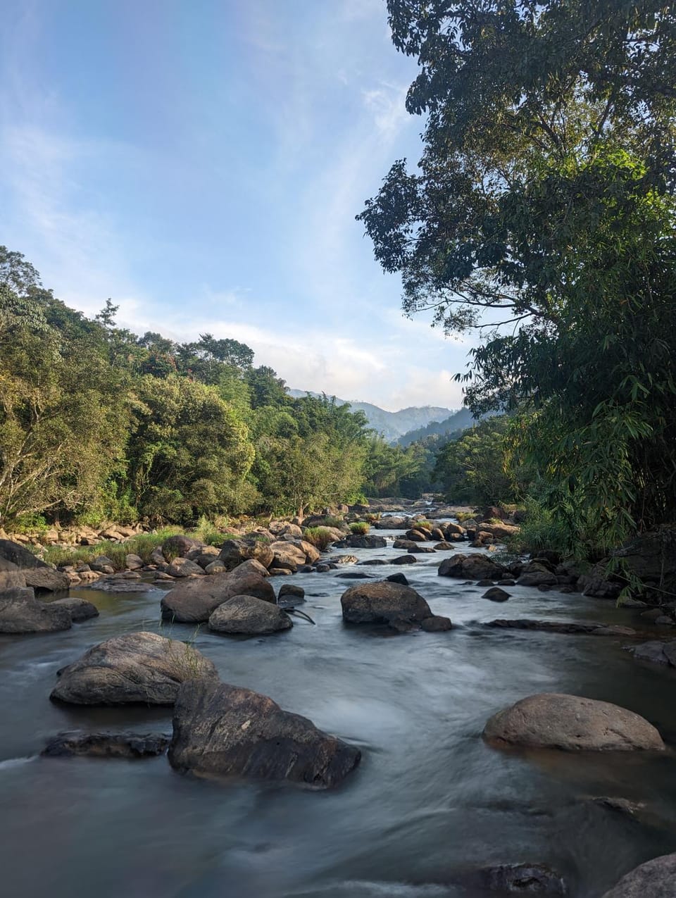 Natural landscape, River view