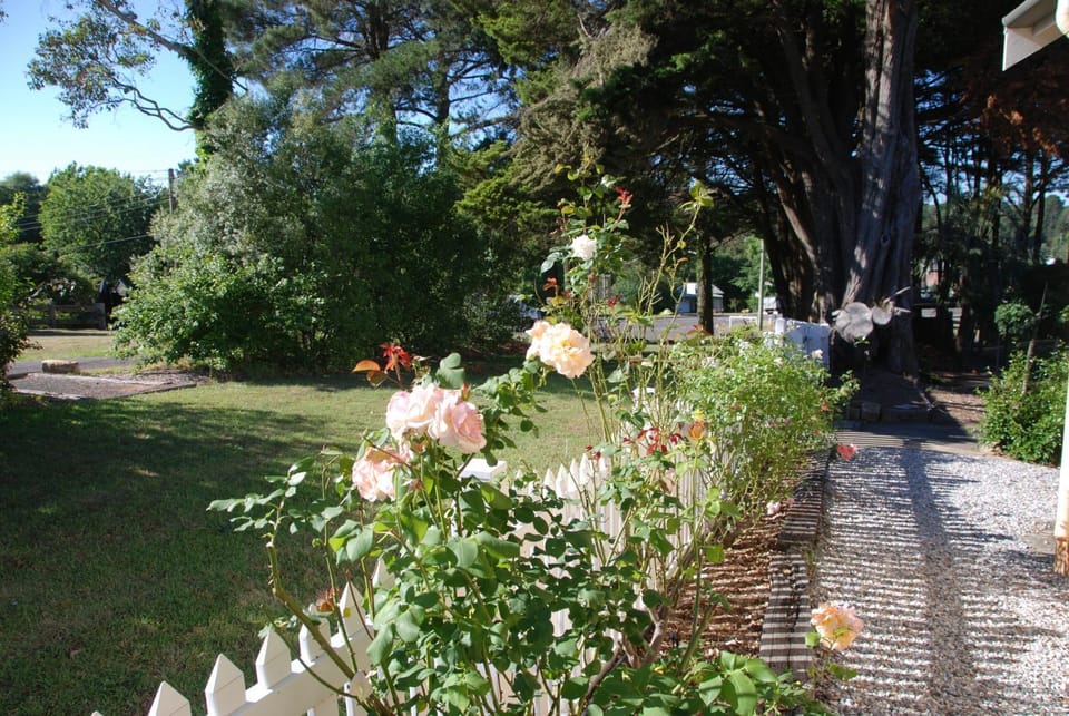Natural landscape, Garden, Garden view, Street view