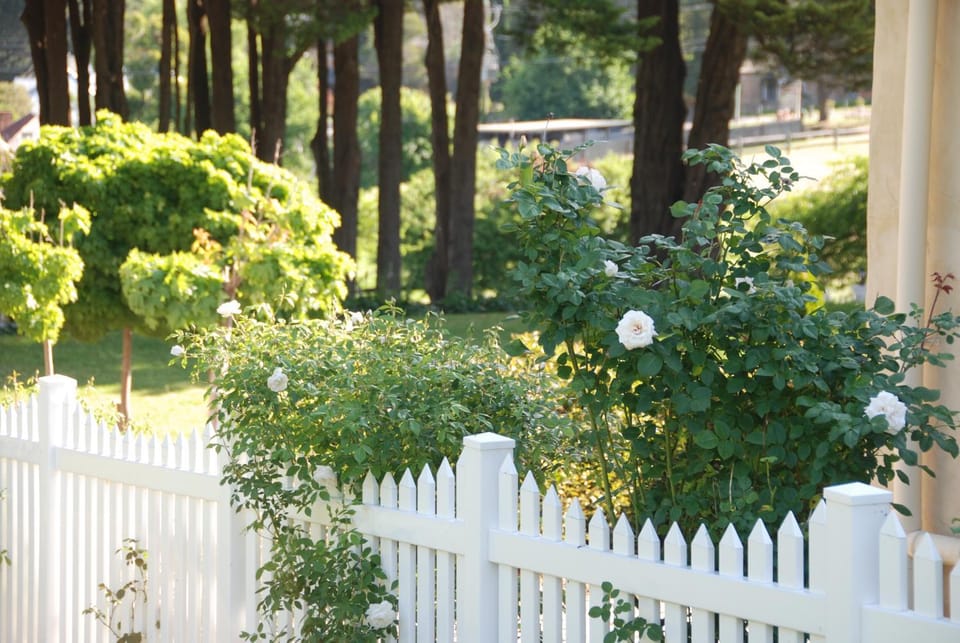 Garden view