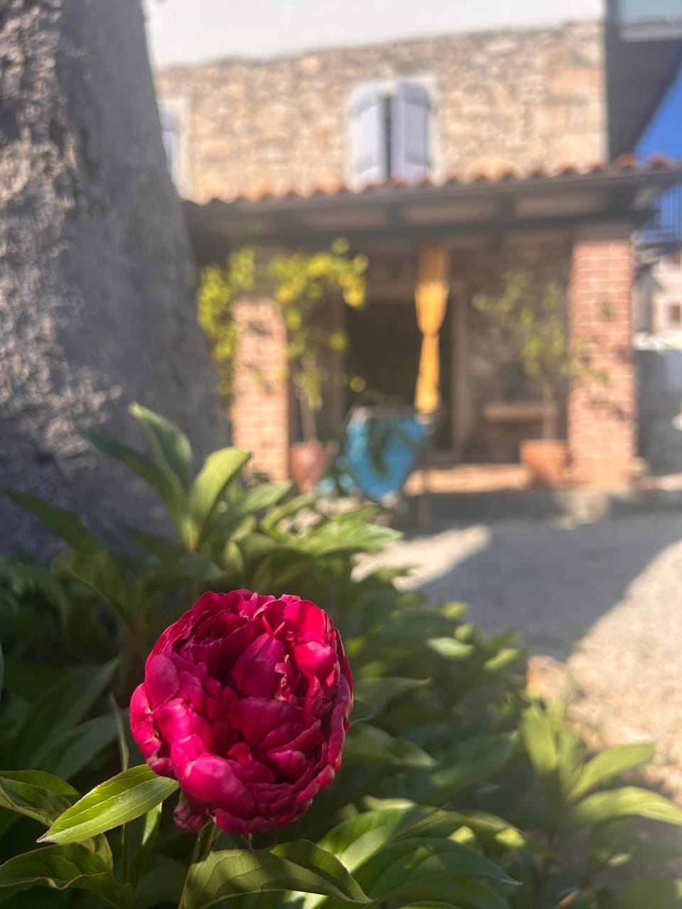 Casa romana Apartment in Istria County