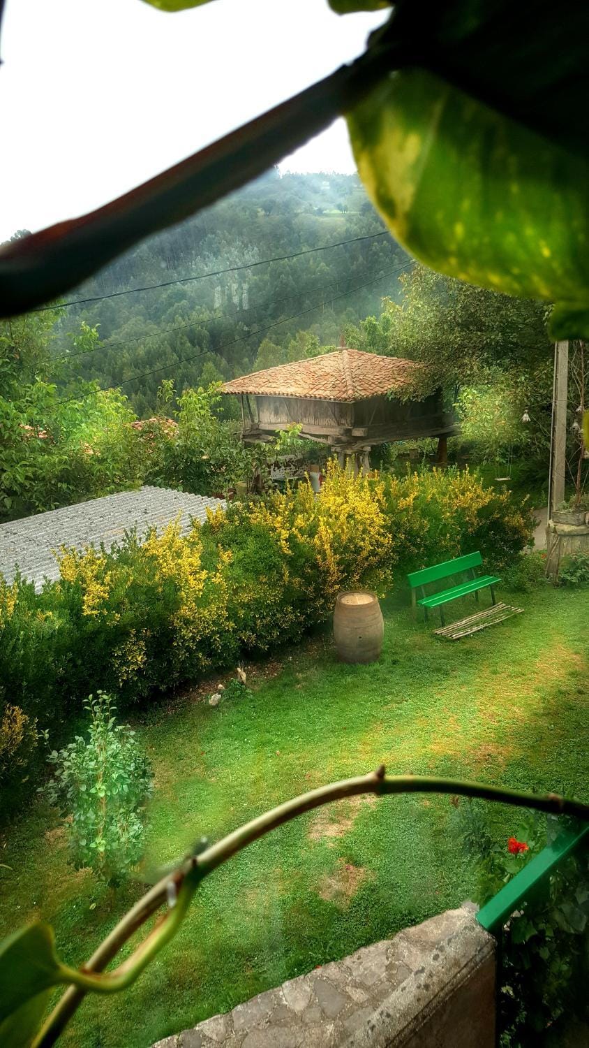 Garden view, Pool view